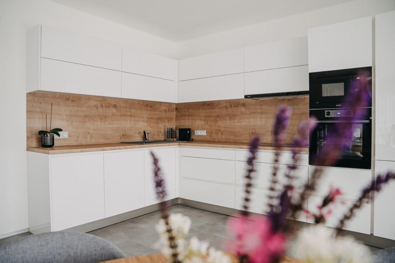 Apartman Usti Hranice  Esterno foto